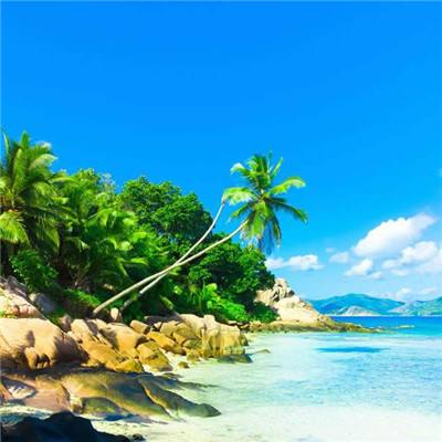 ky体育手机app下载