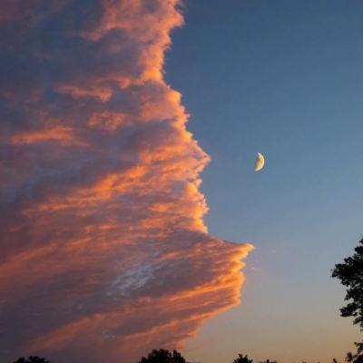 万博man体育app下载