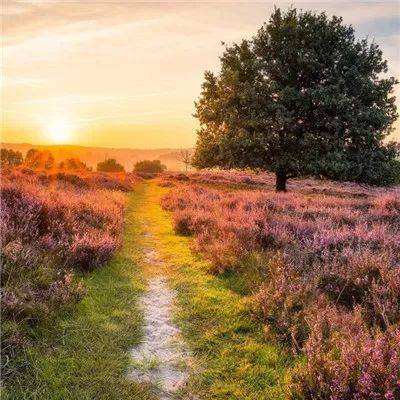 百姓彩票手机app下载