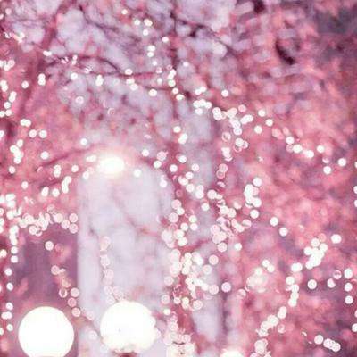 BB贝博ballbet官网登录器